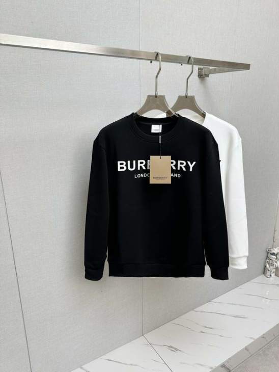 Picture of Burberry Sweatshirt _SKUBurberryS-2XLtltx27031036